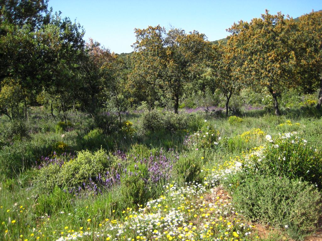Los Laureles 2 Urda Dış mekan fotoğraf