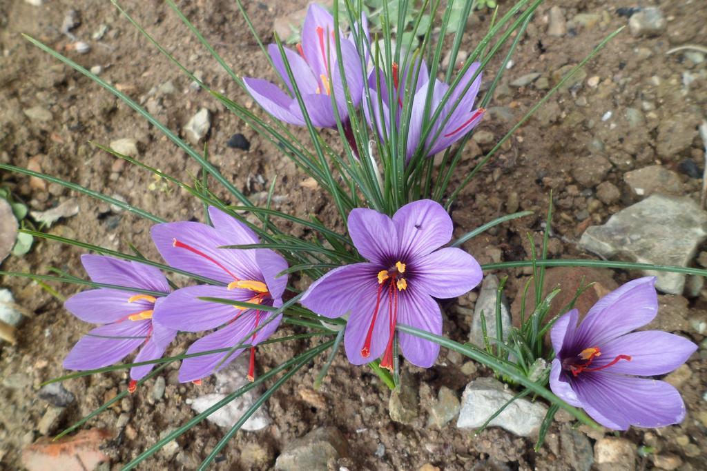 Los Laureles 2 Urda Dış mekan fotoğraf